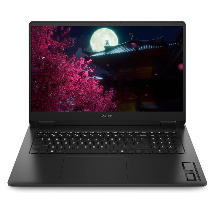 17.3" QHD IPS